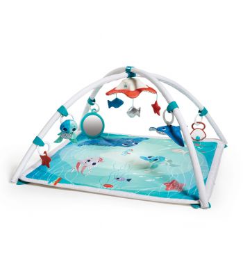 Treasure The Ocean 2 in 1 Musical Gymini